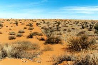 Реферат: The People Of The Kalahari Desert Essay